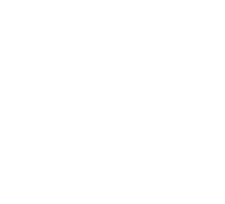 The Bublr lockup, the four-lobed mark over the wordmark, in white