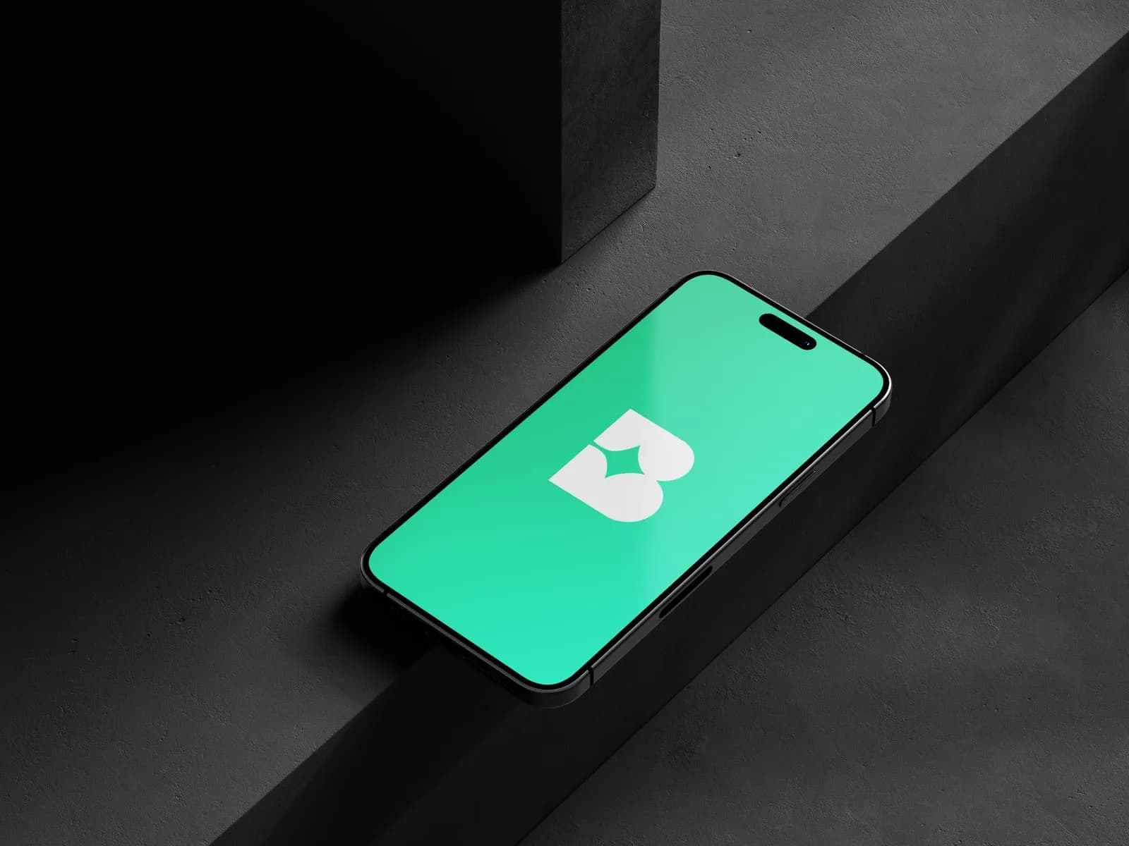 The Bublr splash, the mark filling a phone screen in the brand green, the handset lying on dark stone