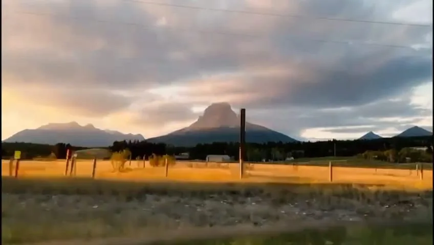 MUZO part one, Canada: the drive through the Rockies to a licensed grower, the rows under the lights and the flower at harvest