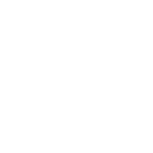 The Crystals from Swarovski seal, since 1895