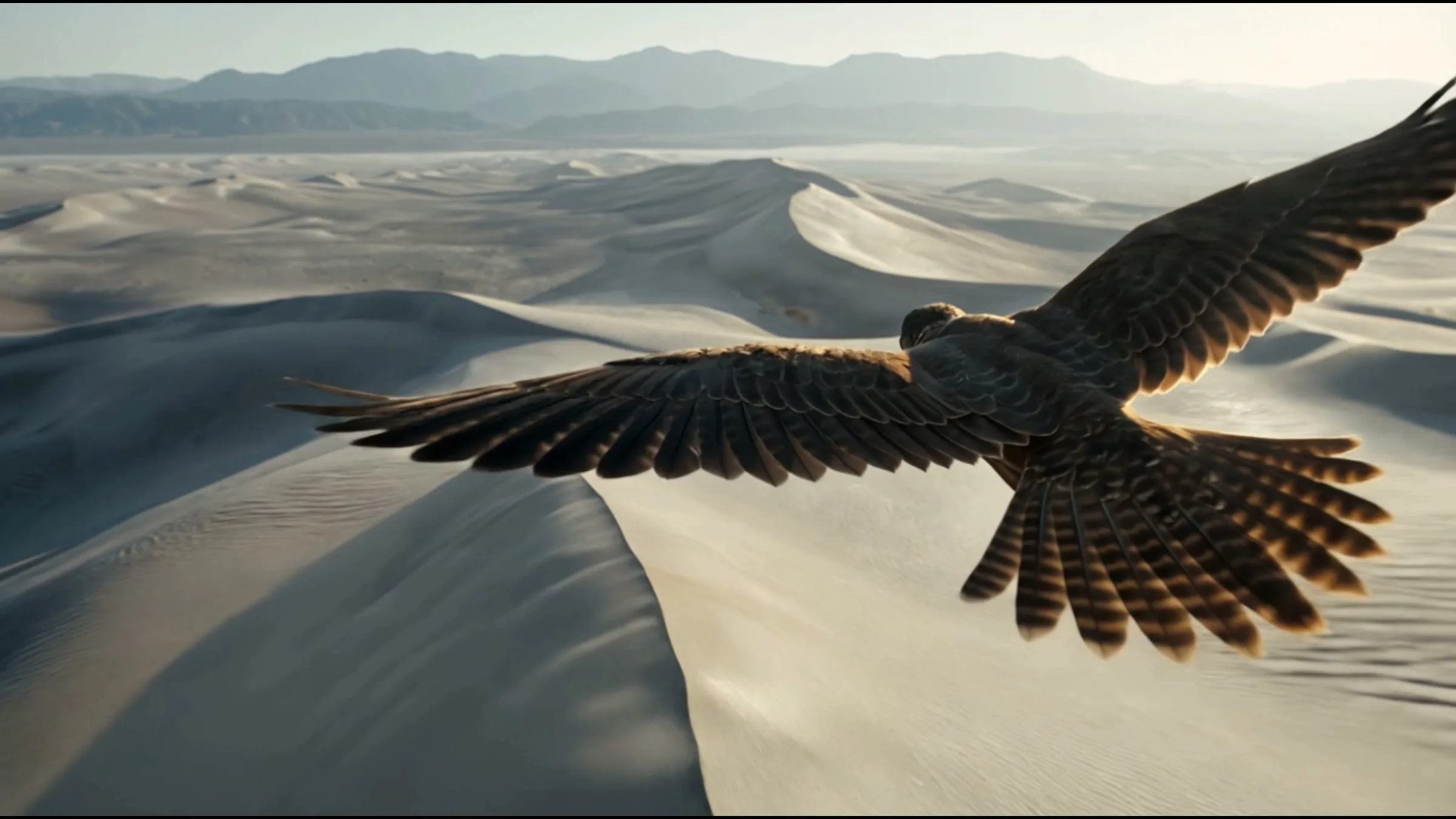 A falcon from behind, wings spread over a white sand dune, a mountain range on the horizon: the opening image of The Silver Kingdom